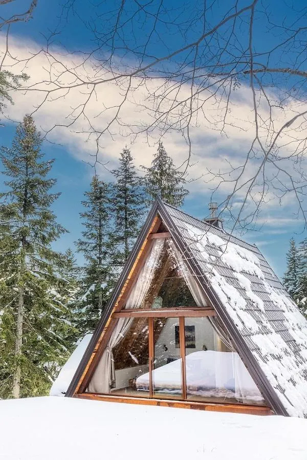 Chalet Forest Home Sunger