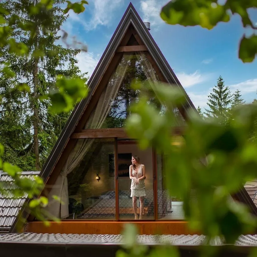 Chalet Forest Home Sunger